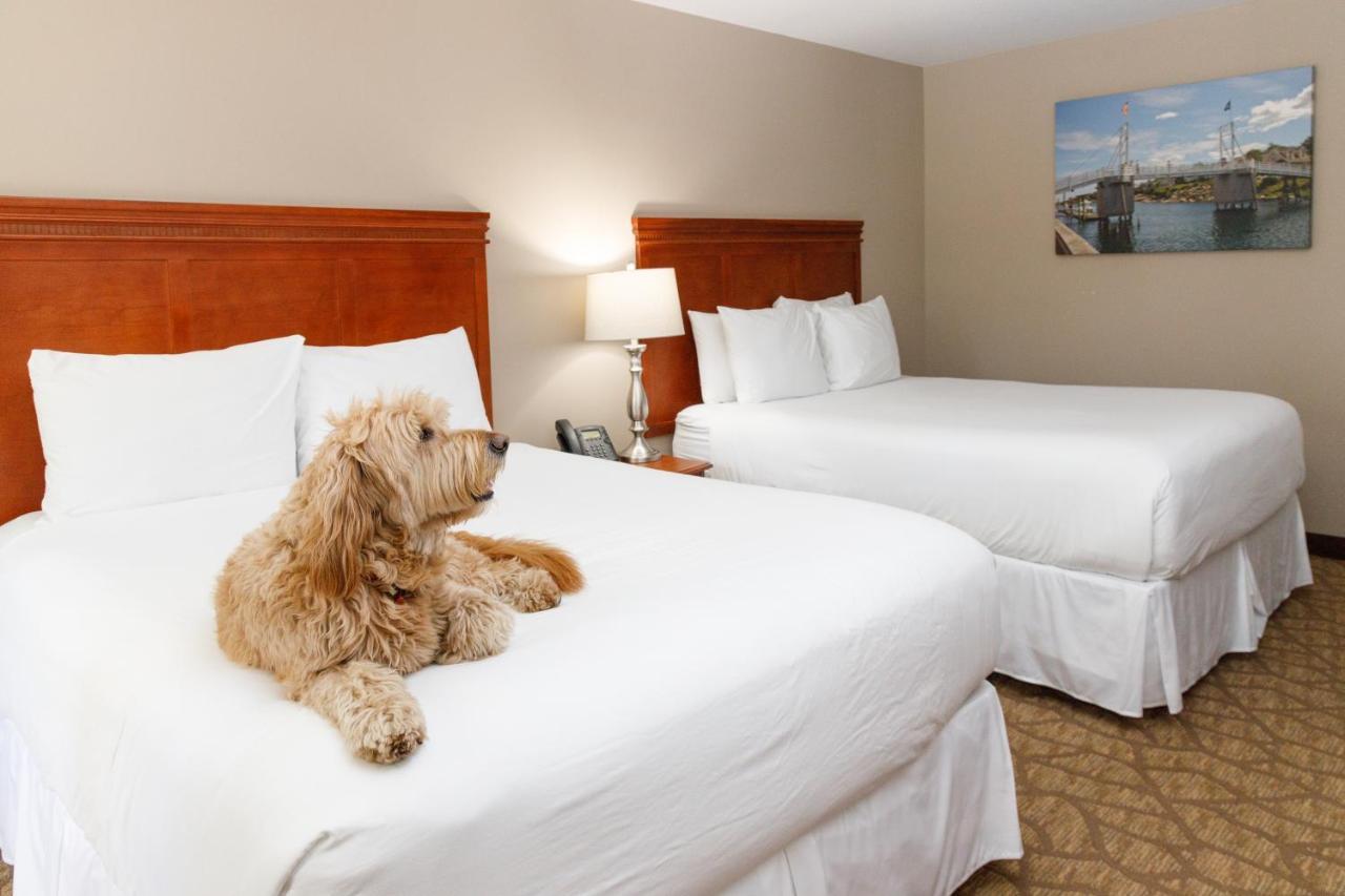 Admiral'S Inn Resort Ogunquit Εξωτερικό φωτογραφία